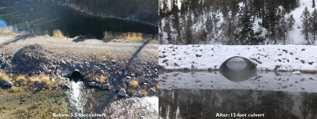 Slide1__1587600982741__w1536