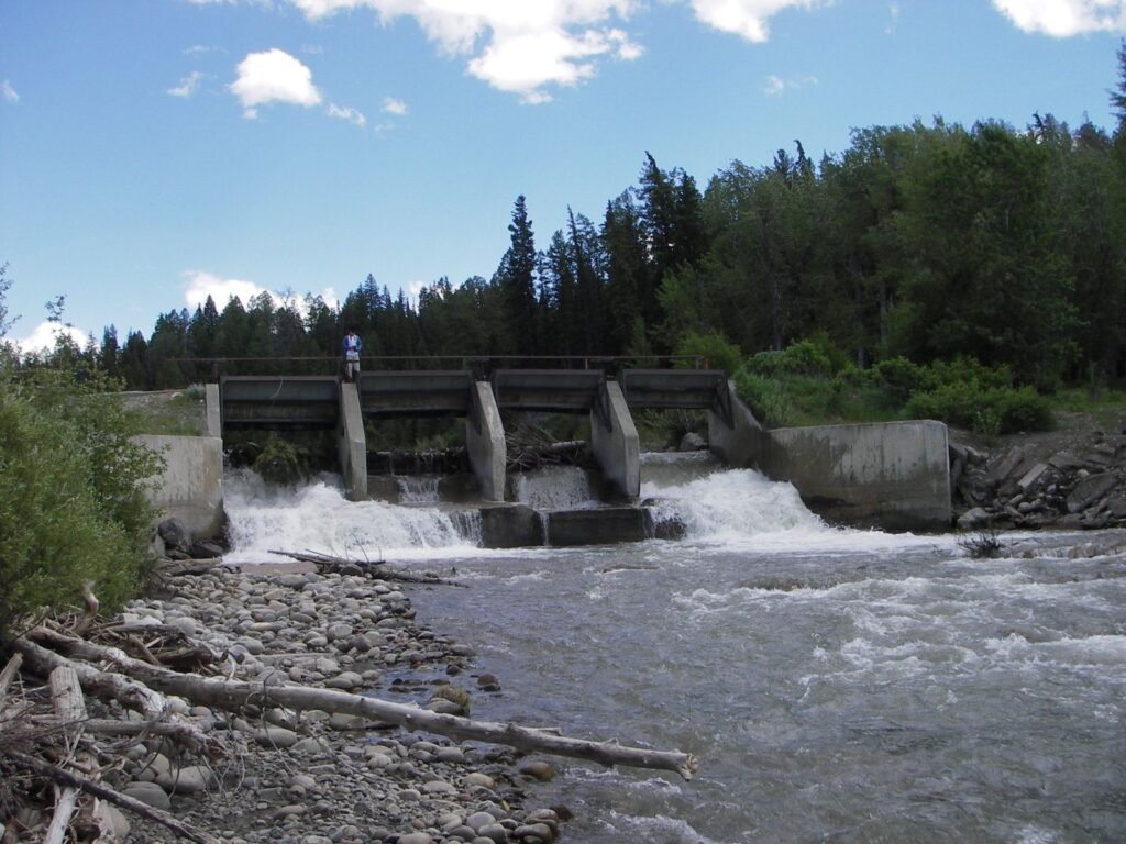 SpreadCreekDam2010