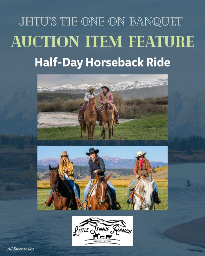 Auction Item Features